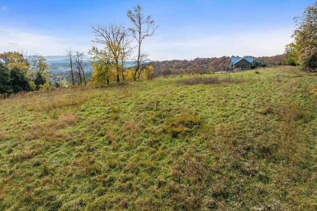 view of yard with a rural view