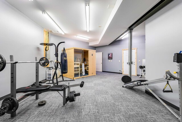 workout area featuring carpet floors