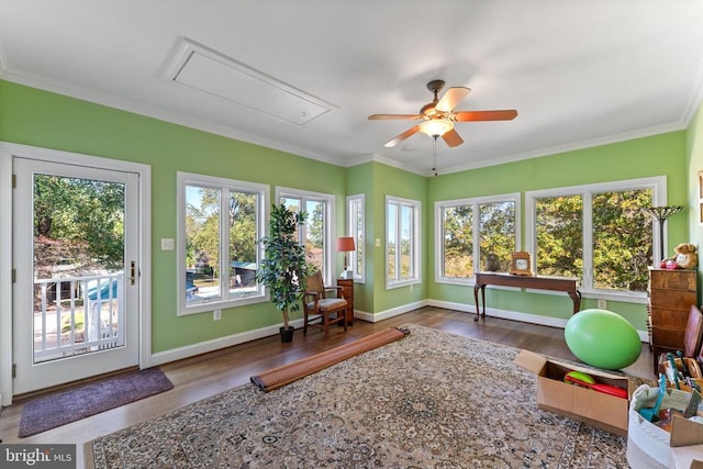 workout room featuring attic access, crown molding, baseboards, and wood finished floors