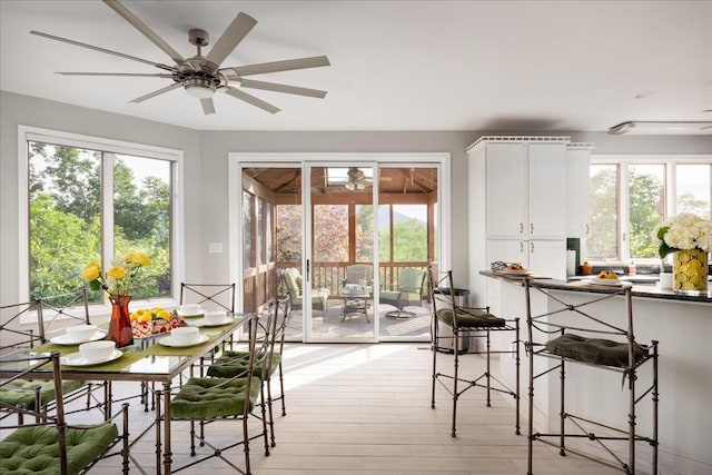 dining space featuring ceiling fan and light wood-type flooring