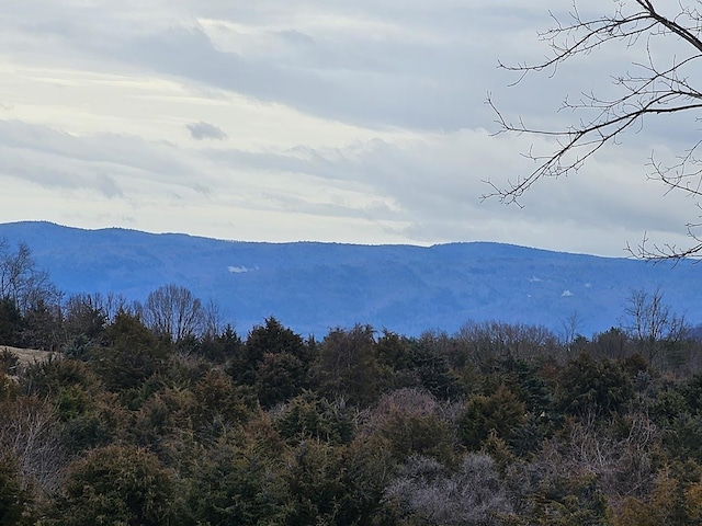 LOT5 Berry Farm Rd, Staunton VA, 24401 land for sale