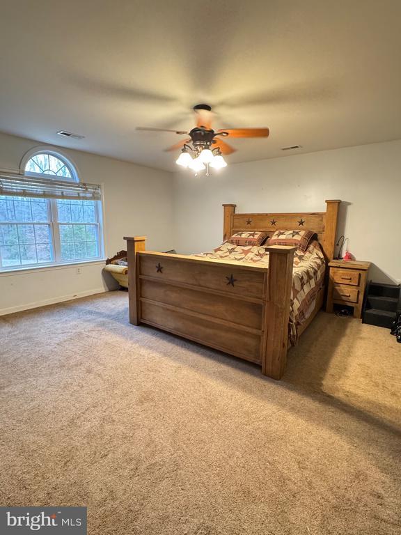 bedroom with carpet floors, ceiling fan, visible vents, and baseboards