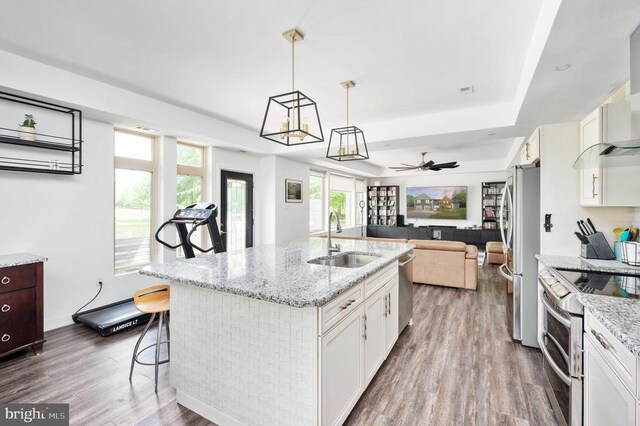 kitchen with sink, white cabinetry, hanging light fixtures, stainless steel appliances, and a tray ceiling