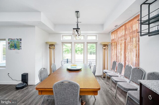 dining area with plenty of natural light, hardwood / wood-style floors, and a tray ceiling