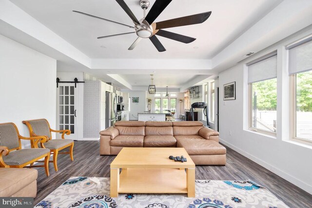 living room featuring a barn door, dark hardwood / wood-style floors, ceiling fan, and a tray ceiling