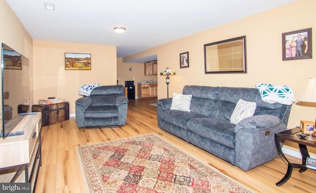 living room featuring wood finished floors