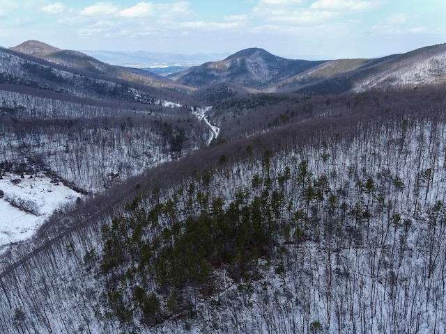 TBD Cubbage Hollow Rd, Stanley VA, 22851 land for sale