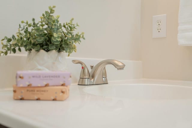 interior details with a sink