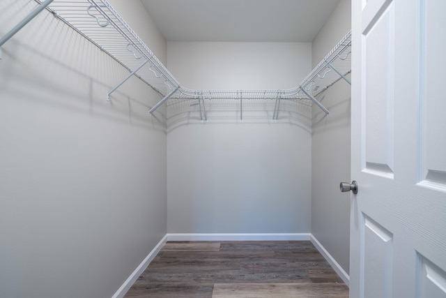 spacious closet featuring wood finished floors