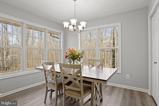 dining room featuring hardwood / wood-style floors and a healthy amount of sunlight