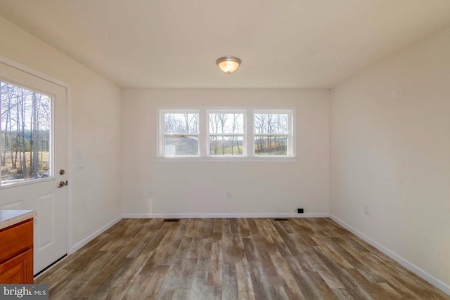 empty room featuring a wealth of natural light and wood-type flooring