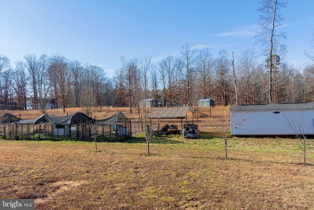 view of yard featuring a shed