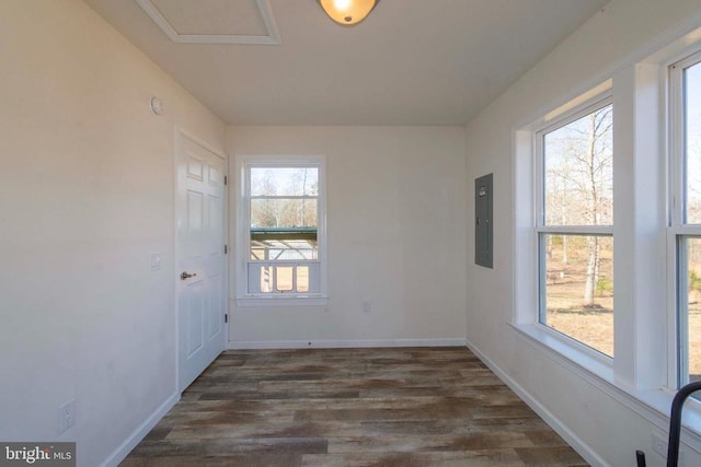 spare room featuring electric panel and dark hardwood / wood-style flooring