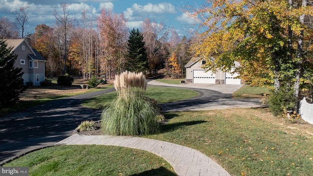 view of yard with a garage