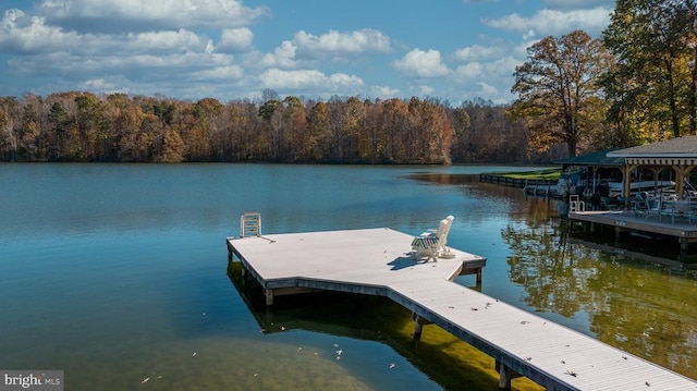 dock area with a forest view and a water view