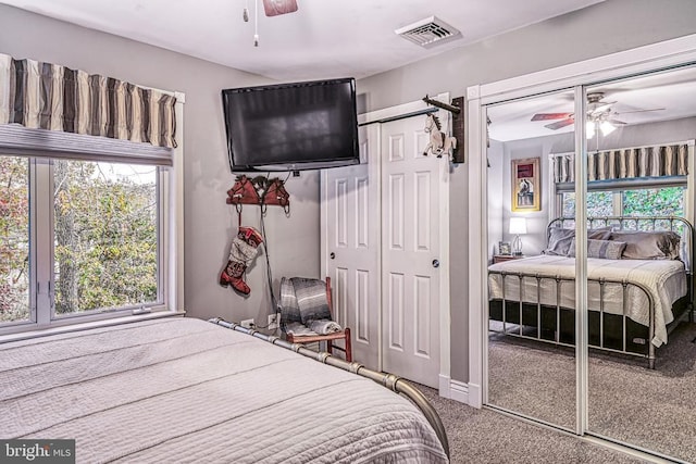 carpeted bedroom with multiple closets, visible vents, and a ceiling fan