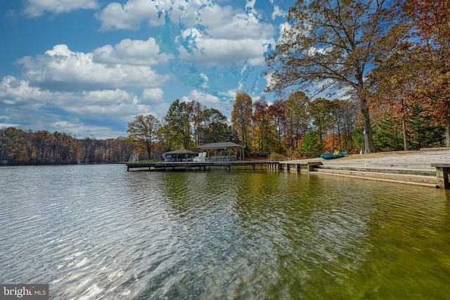 dock area with a water view and a view of trees