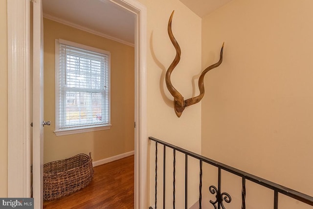 hallway with crown molding, baseboards, and wood finished floors