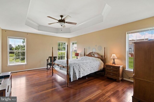 bedroom with multiple windows, crown molding, dark wood-type flooring, and a raised ceiling