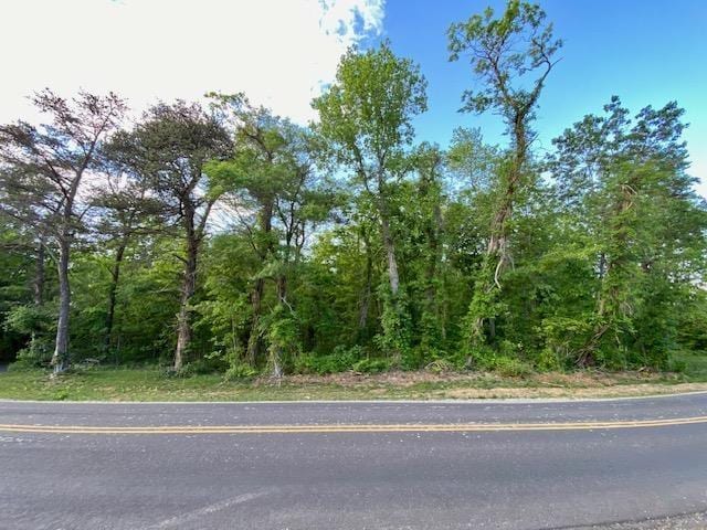 TBD Howardsville Tpke, Stuarts Draft VA, 24477 land for sale