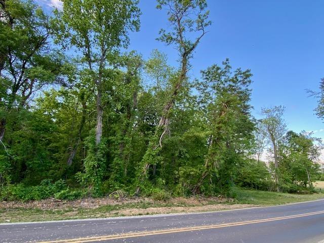 Listing photo 3 for TBD Howardsville Tpke, Stuarts Draft VA 24477