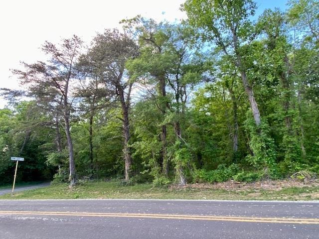 Listing photo 2 for TBD Howardsville Tpke, Stuarts Draft VA 24477