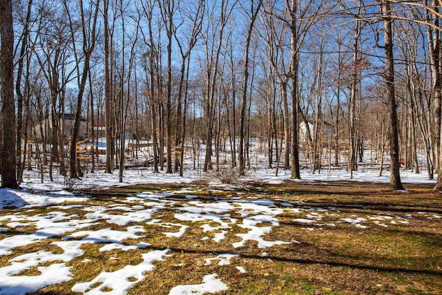 view of snowy yard