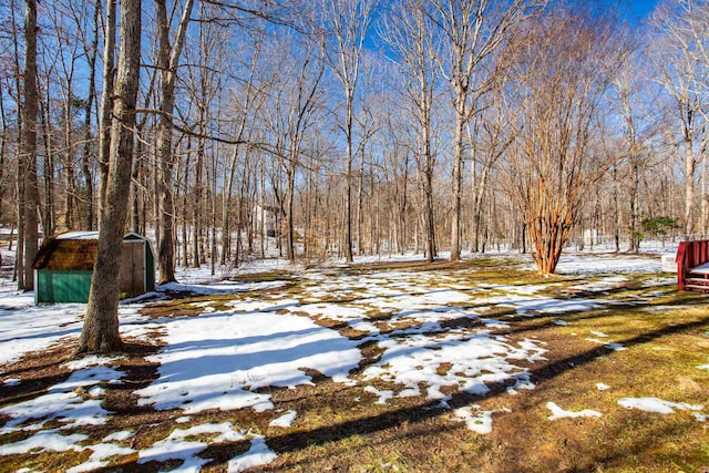 view of yard covered in snow