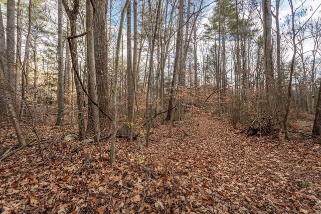 view of local wilderness