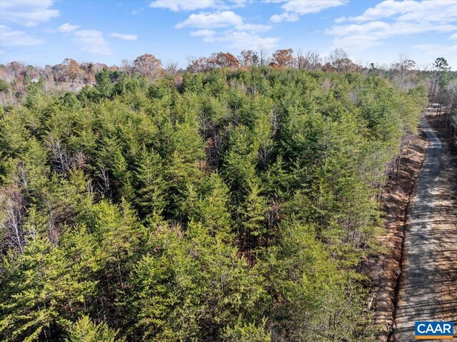 view of local wilderness