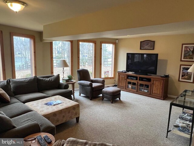 living area with carpet flooring, baseboards, and a healthy amount of sunlight