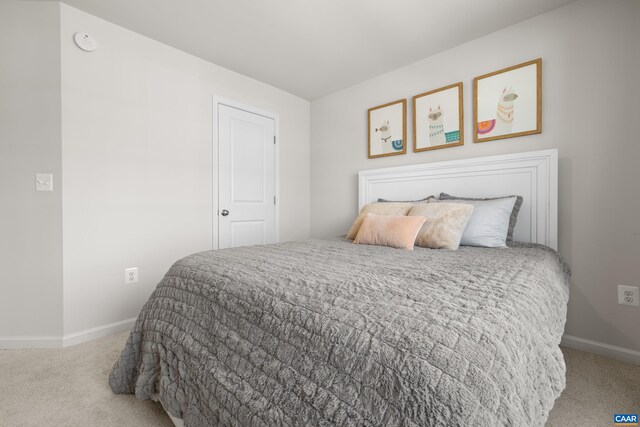 3028 Horizon Rd, Charlottesville, VA 22902 - photo 42