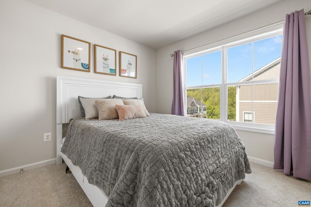 3028 Horizon Rd, Charlottesville, VA 22902 - photo 41