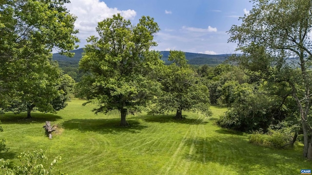 18 Providence Ln, Waynesboro, VA 22980 - photo 14