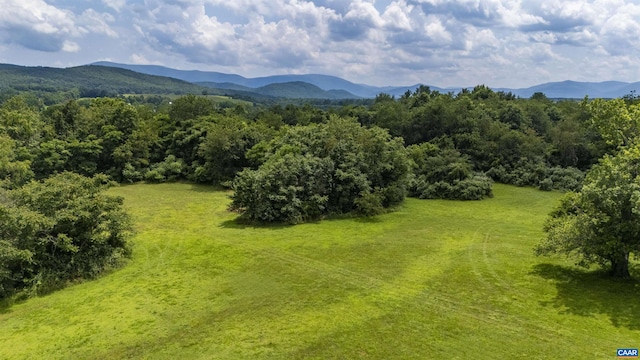 18 Providence Ln, Waynesboro, VA 22980 - photo 15