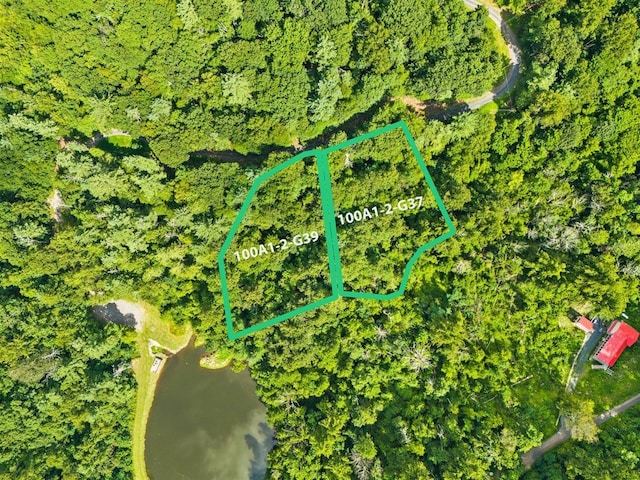 LOTSG37 Lake Rd, Stanley, VA 22851 - photo 1