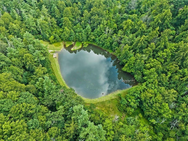 LOTSG37 Lake Rd, Stanley, VA 22851 - photo 6