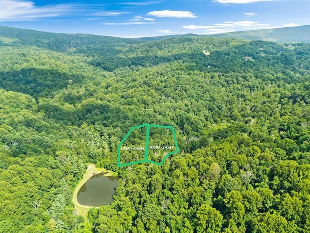 LOTSG37 Lake Rd, Stanley, VA 22851 - photo 2