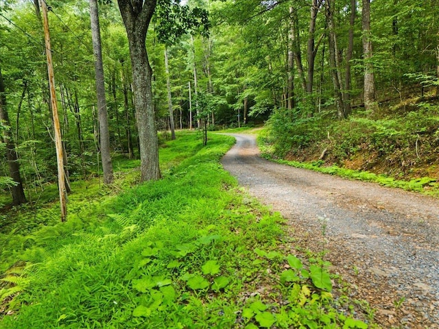 LOTSG37 Lake Rd, Stanley, VA 22851 - photo 11