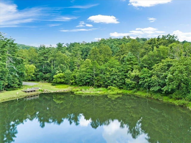 LOTSG37 Lake Rd, Stanley, VA 22851 - photo 8