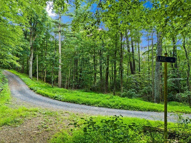 LOTSG37 Lake Rd, Stanley, VA 22851 - photo 16