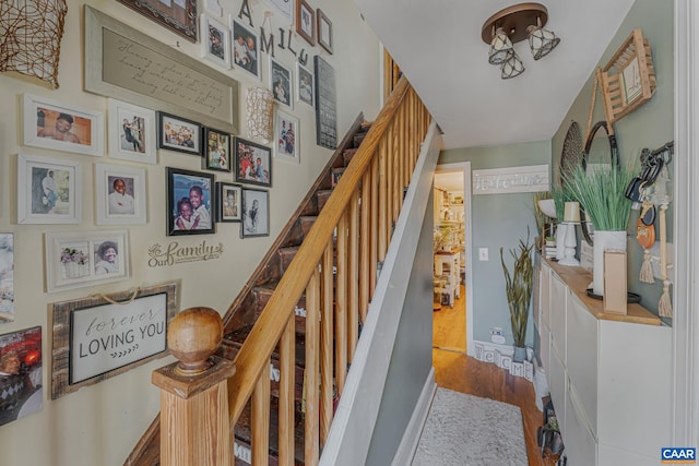 stairway featuring wood finished floors