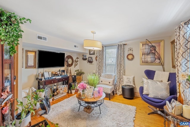 325 10 1/2 St NW, Charlottesville, VA 22903 - living area featuring wood finished floors