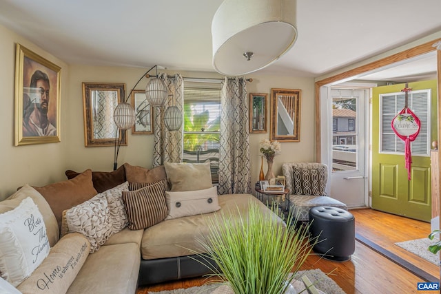 living room featuring wood finished floors