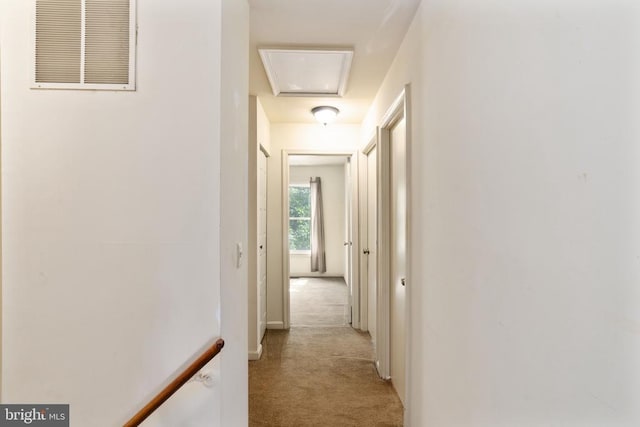 10718 Brice Ct, Fredericksburg, VA 22407 - corridor with light colored carpet and attic access