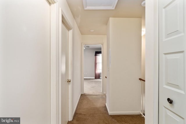 10718 Brice Ct, Fredericksburg, VA 22407 - hall featuring carpet flooring and baseboards