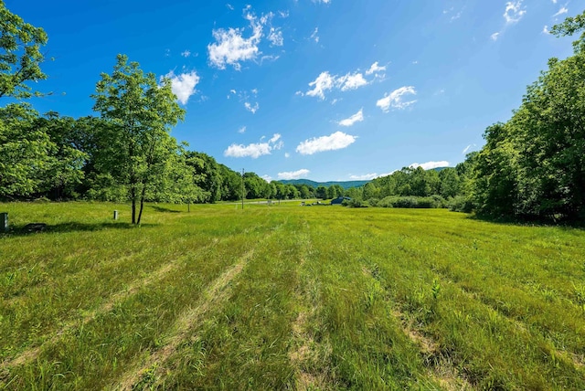 TBD Little Calf Pasture Hwy, Swoope, VA 24479 - photo 8