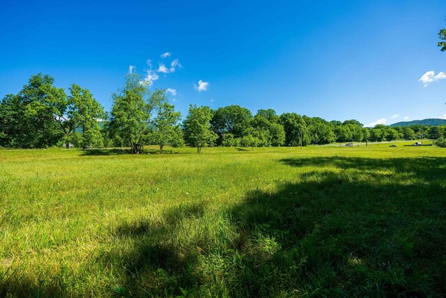 TBD Little Calf Pasture Hwy, Swoope, VA 24479 - photo 10