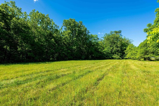 TBD Little Calf Pasture Hwy, Swoope, VA 24479 - photo 9