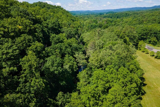 TBD Little Calf Pasture Hwy, Swoope, VA 24479 - photo 15